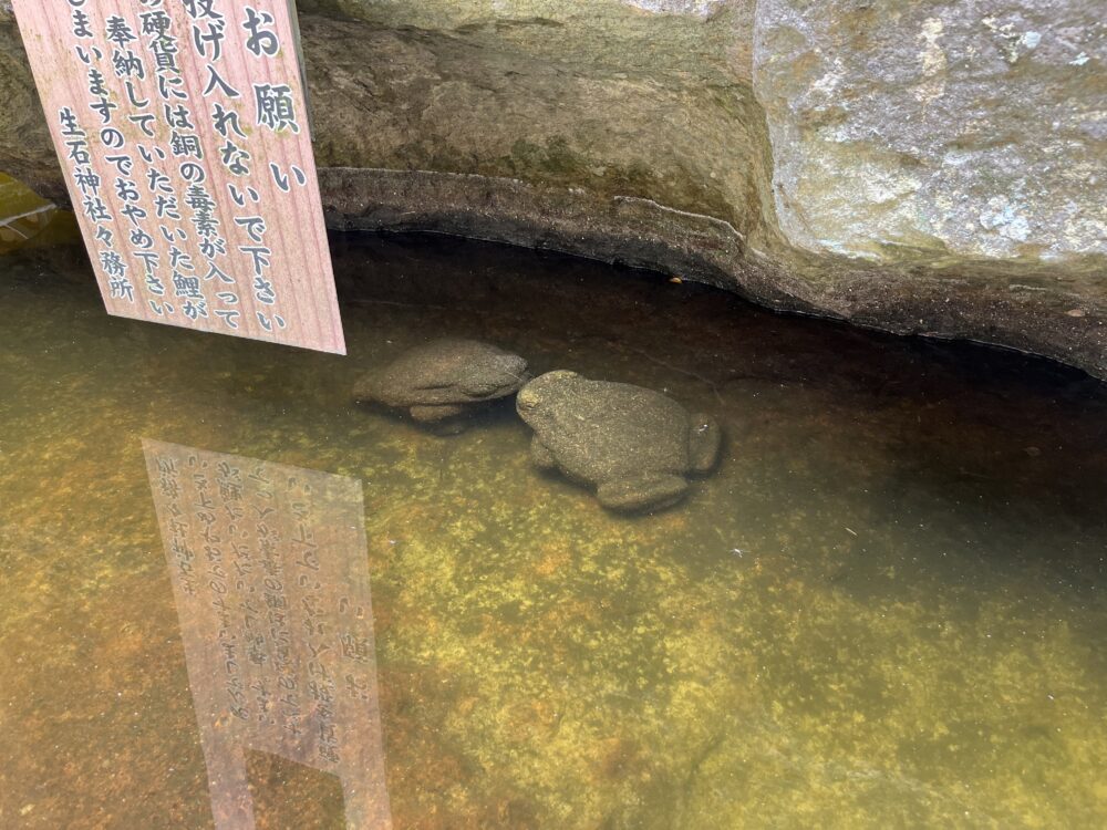 生石神社　日本三奇　石の宝殿の水中のカエルの石像