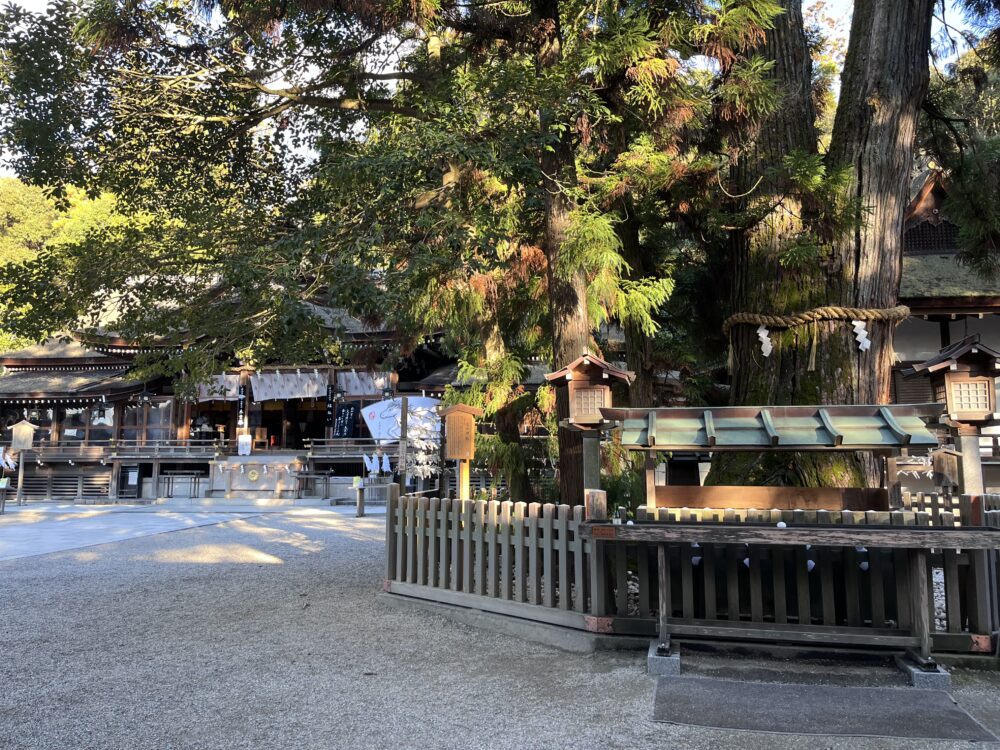 大神神社の境内にある巳神信仰の御神木。