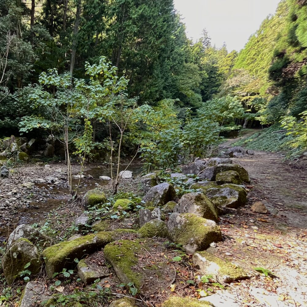 出雲大社　境外摂社　福迎の社　三歳の社へ向かう参道