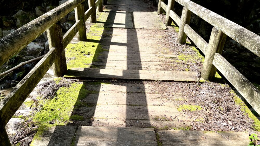 出雲大社　境外摂社　福迎の社　三歳の社へ続く木製の橋　禊の橋