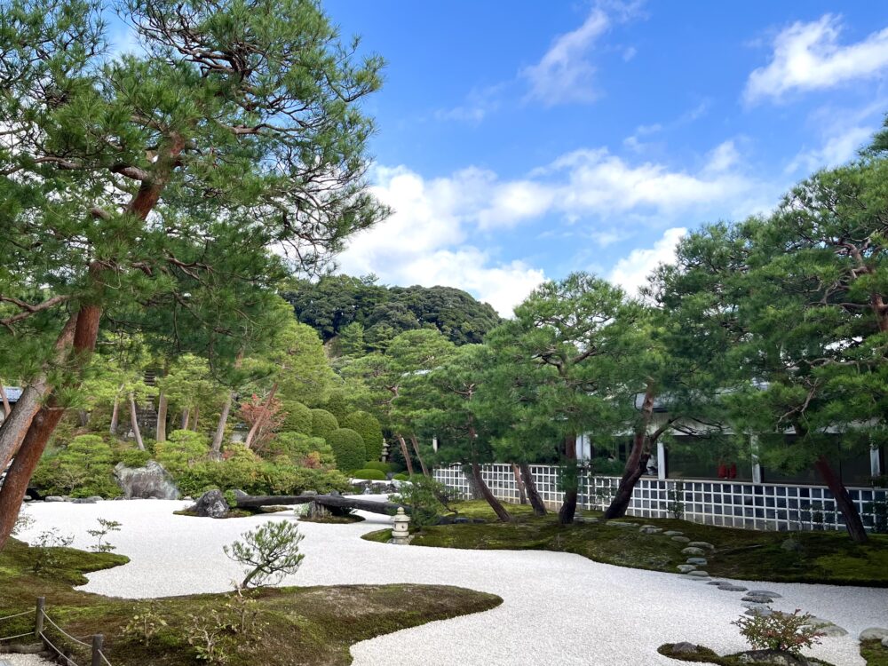 苔庭と赤松。杉苔を中心とした優美な曲線を描く京風の庭園。