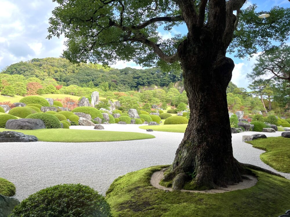 足立美術館の枯山水庭と借景の美。