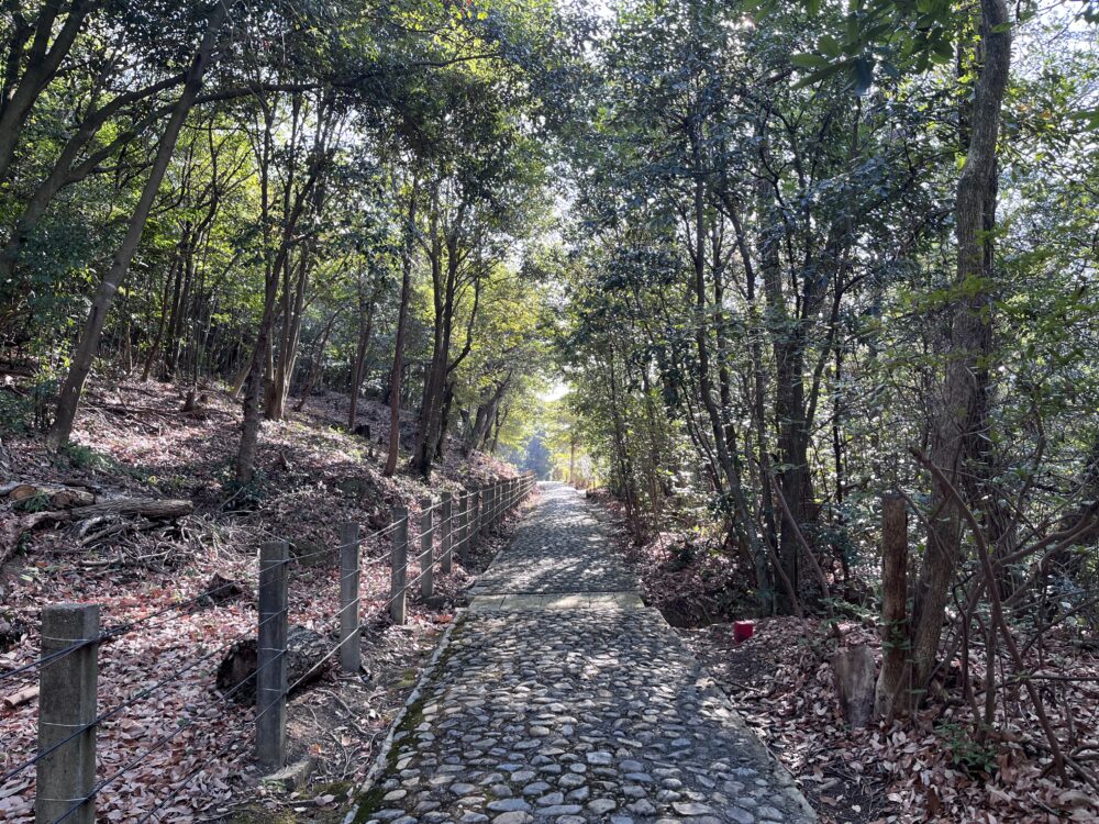 日岡神社から日岡陵に続く木々に囲まれた石畳の小路