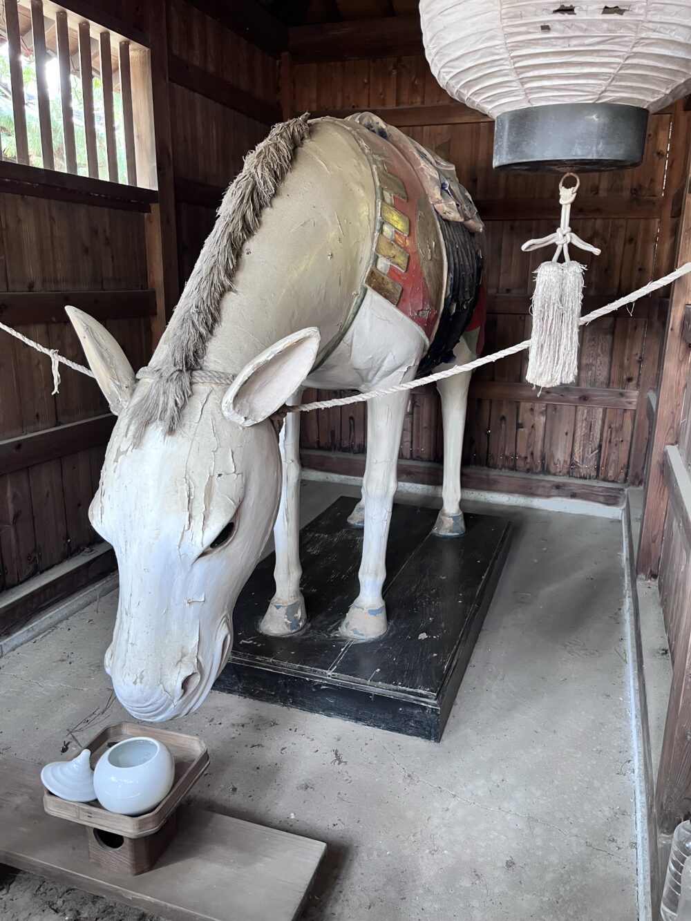 高砂神社の神馬