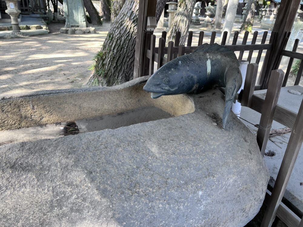 使われていない手水舎の水の出口の鯉